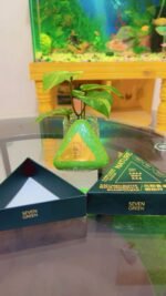 Seven Nature Green Shampoo Soap Bar - Image 4