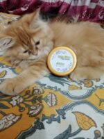 LUNA Glow Night Cream - Image 14